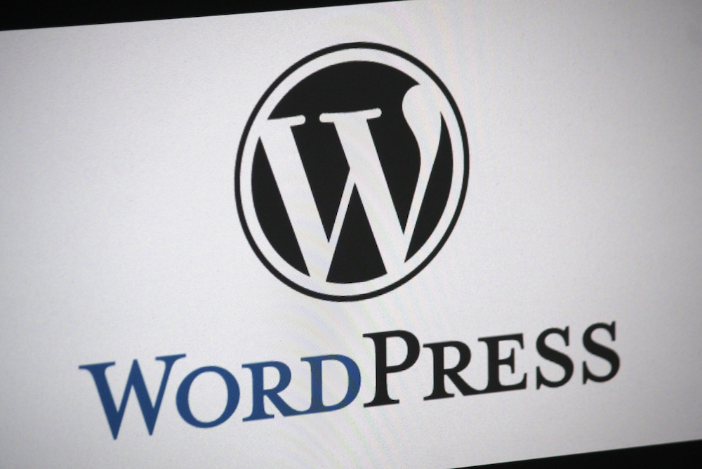 WordPress logo on a screen