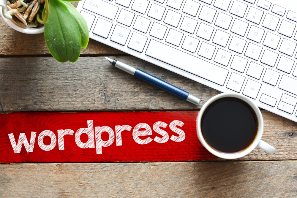 Why Use A Wordpress Support Service